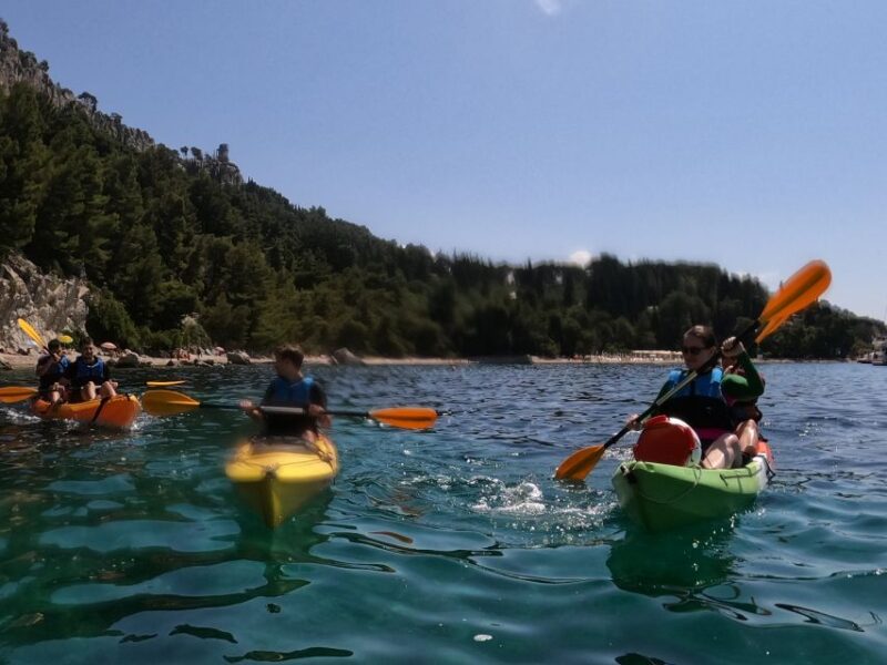 Morning Split Sea Kayaking Tour - Important Information