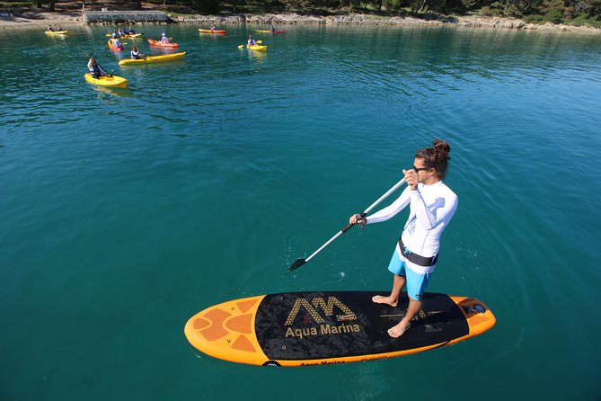 Morning Stand Up Paddle Tour in Split - Local History and Insights