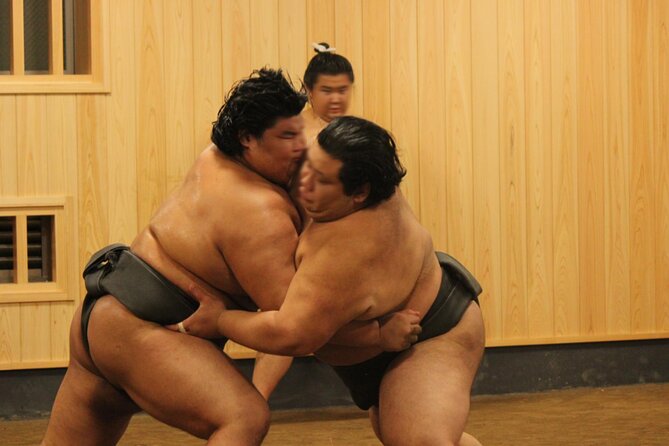 Morning Sumo Practice Viewing in Tokyo - Accessibility and Restrictions