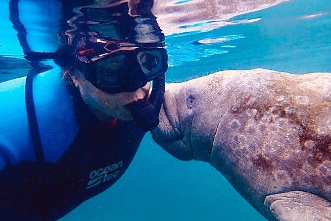 Morning Swim and Snorkel With Manatees-Guided Crystal River Tour - Preparing for the Experience