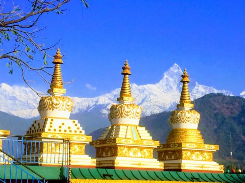 Morning Tibetan Cultural Tour - Cultural Immersion