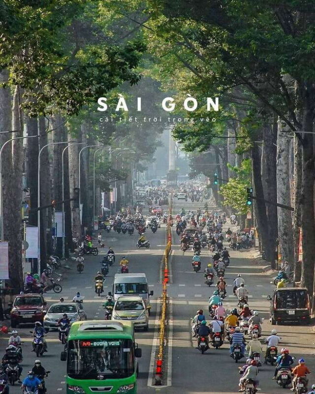 Morning Tour: Discovering Ho Chi Minh Citys Historic Gems - Recommendations for Visitors