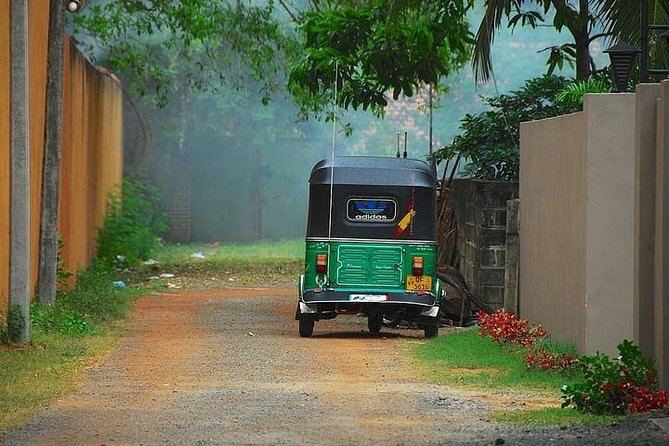 Morning Tour Of Chhatarpur Temples And Qutub Minar In Delhi With Tuk-Tuk Ride - Tour Requirements and Recommendations