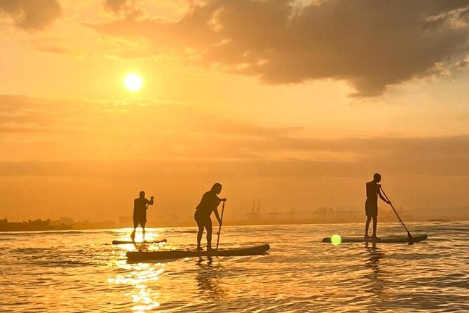 MORNING TOUR Paddleboard or Kayak - Experience and Features