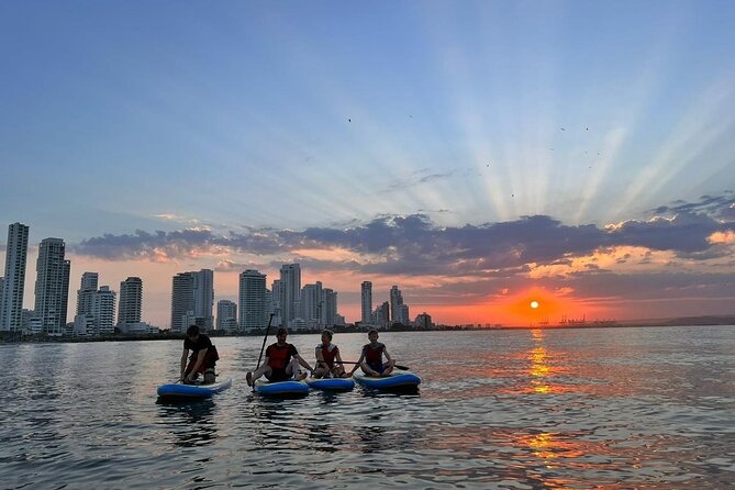 MORNING TOUR Paddleboard or Kayak - Accessibility and Participation