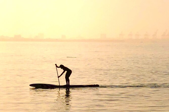 MORNING TOUR Paddleboard or Kayak - Feedback and Reviews
