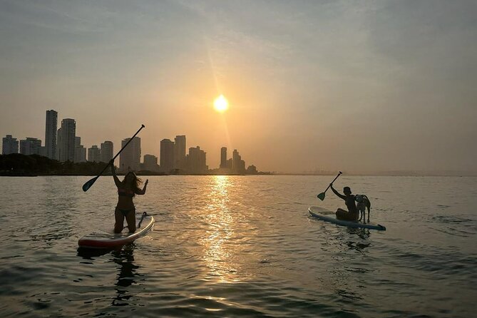 MORNING TOUR Paddleboard or Kayak - Preparing for the Tour