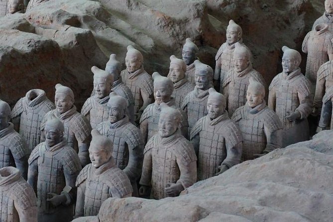 Morning Tour to Terracotta Warriors Museum - Inclusions