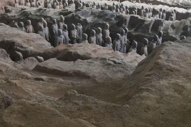 Morning Tour to Terracotta Warriors Museum - Meeting and Pickup