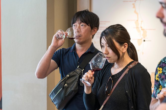 Morning Wine Tour to Chateauneuf Du Pape From Avignon - Tour Experience