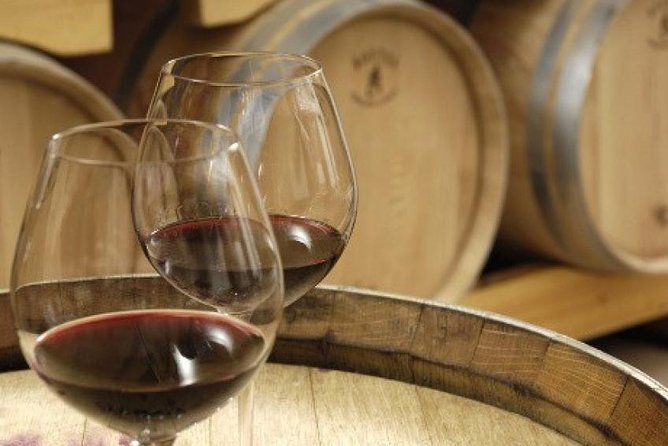 Morning Wine Tour to Chateauneuf Du Pape From Avignon - Tasting Sessions