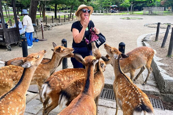 Morning Wonder World Heritage Nara Guided Tour - Inclusions