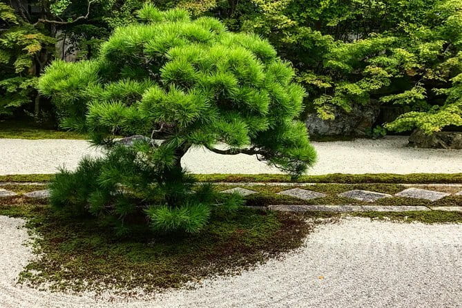 Morning Wonder World Heritage Nara Guided Tour - Experiencing Traditional Japanese Culture