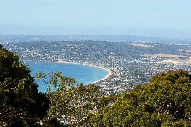 Mornington Peninsula Boutique Wine and Lunch Small Group Tour - Who Will Love This Tour?