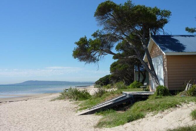 Mornington Peninsula Coastal Discovery Tour from Melbourne - Exploring the Mornington Peninsula Coastal Discovery Tour from Melbourne: A Practical Guide
