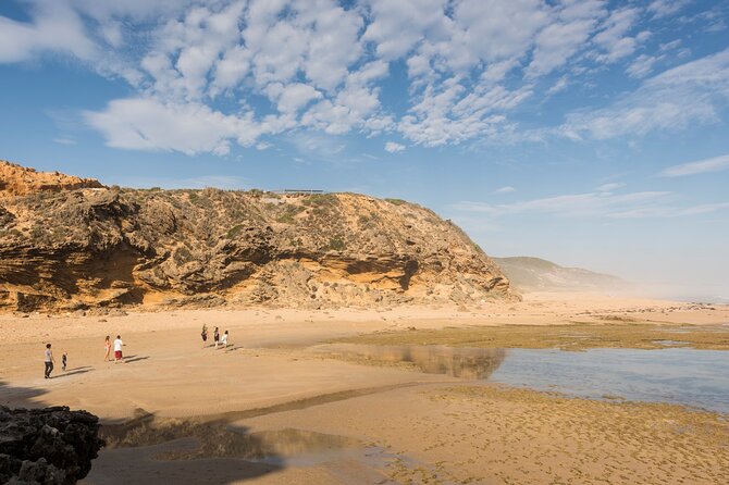 Mornington Peninsula Gourmet Full-Day Private Tour - Gourmet Experiences