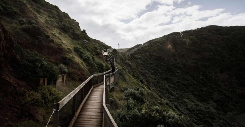 Mornington Peninsula & Hot Springs Tour - Key Points