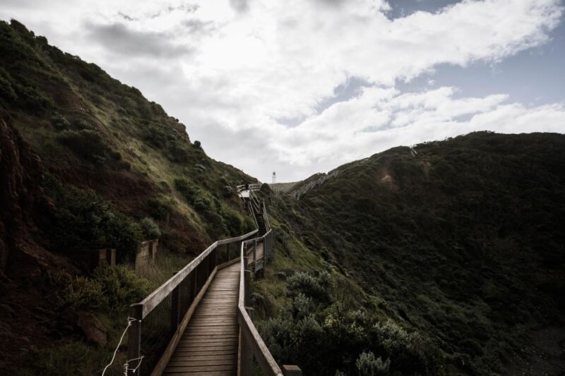 Mornington Peninsula & Hot Springs Tour - Inclusions in the Tour