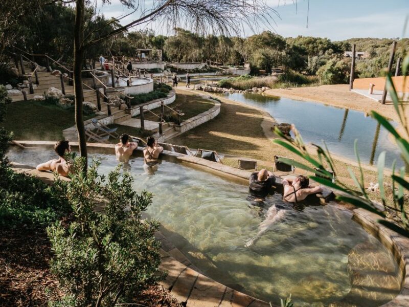 Mornington Peninsula & Hot Springs Tour - Meeting Point and Transportation