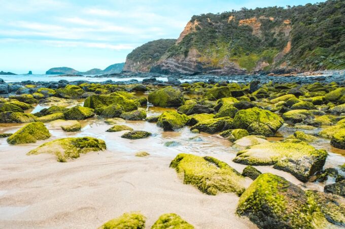 Mornington Peninsula & Hot Springs Tour - Relaxing in the Hot Springs