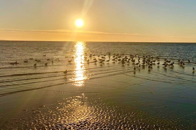 Mornington Peninsula Private Sightseeing Day Tour From Melbourne. - Customer Reviews