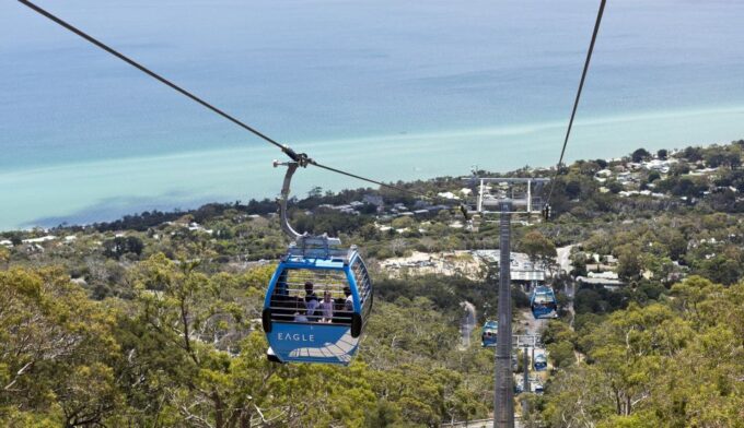 Mornington Peninsula Scenic Bus Tour With Chairlift & Lunch - Winery Lunch and Tastings