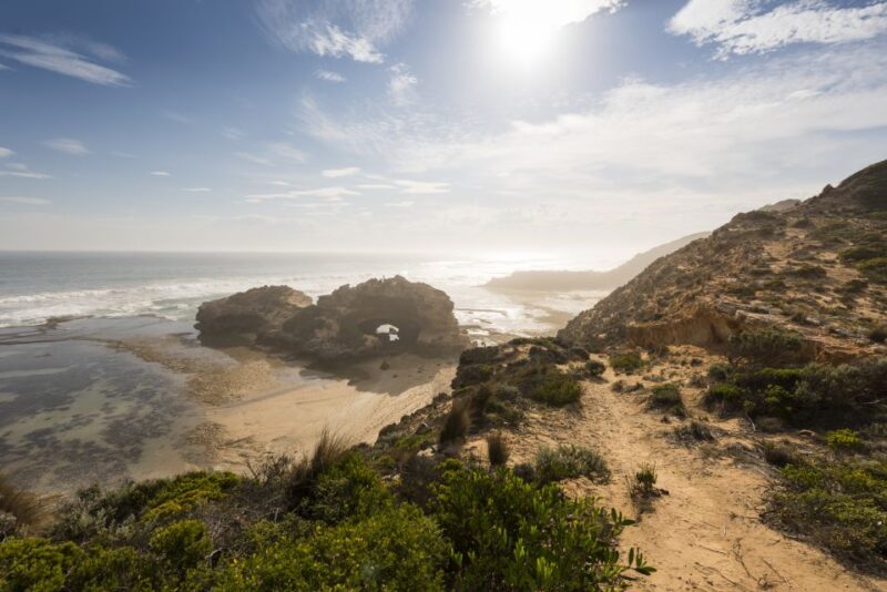 Mornington Peninsula: Sightseeing Tour With Bay Sailing - Pickup and Arrival