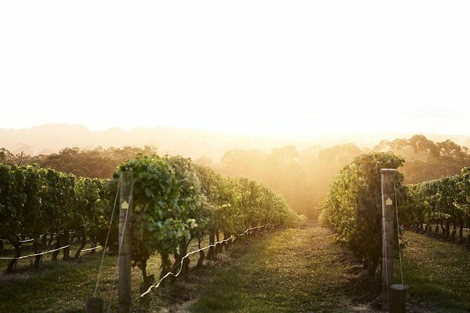 Mornington Peninsula Small Group Rare Hare or Merricks Wine Store - The Itinerary in Detail: What Makes Each Stop Special