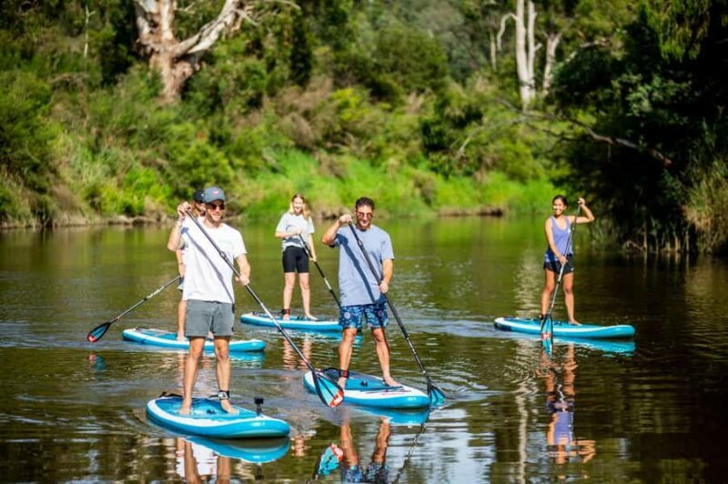 Mornington Peninsula: SUP & Snorkel Safari Tour incl Brunch - An Honest Look at the Experience
