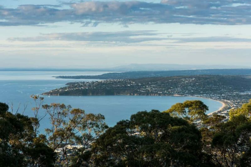Mornington Peninsula Tour: wildlife, wine, art & hot springs - Key Points