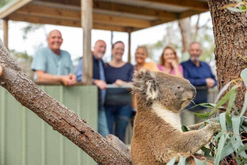 Mornington Peninsula Tour: wildlife, wine, art & hot springs - Frequently Asked Questions