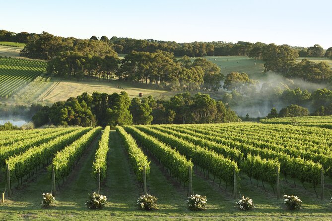 Mornington Peninsula Wine and Food Day Tour From Melbourne - Inclusions