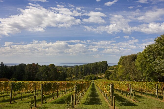 Mornington Peninsula Wine and Food Day Tour From Melbourne - Exploring Yabby Lake Winery
