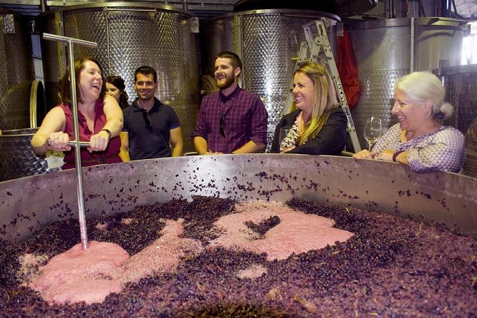 Mornington Peninsula Winery Tour Including Wine Tastings and 2-Course Lunch - Key Points