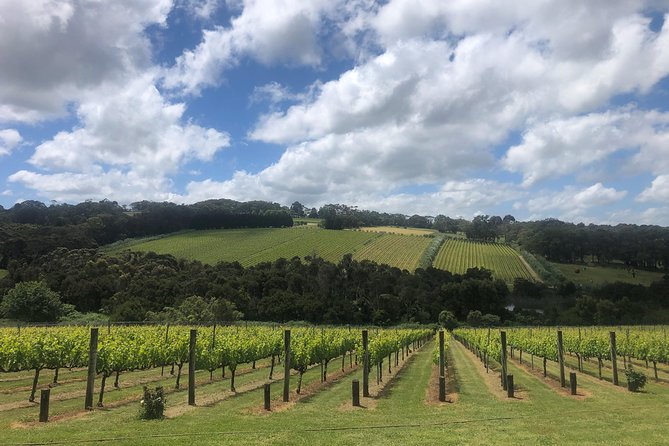 Mornington Peninsula Winery Tour Including Wine Tastings and 2-Course Lunch - Health and Safety Guidelines