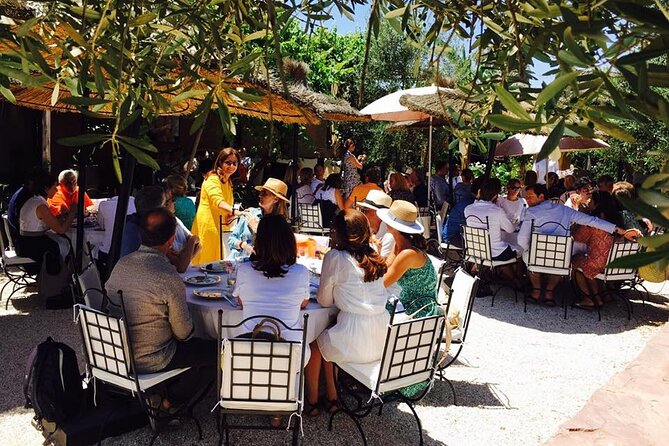 Moroccan Wine Tasting From Marrakech at Atlas Mountains & Desert and Camel Ride - Pickup and Meeting Details