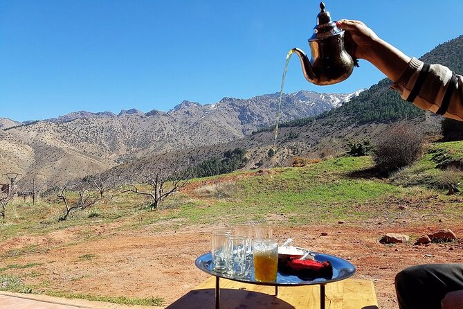Moroccan Wine Tasting From Marrakech at Atlas Mountains & Desert and Camel Ride - Discovering Oukaimeden