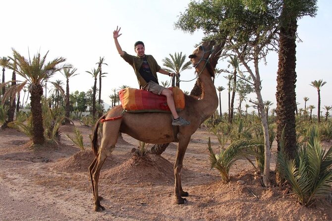 Moroccan Wine Tasting From Marrakech at Atlas Mountains & Desert and Camel Ride - Sunset Camel Ride