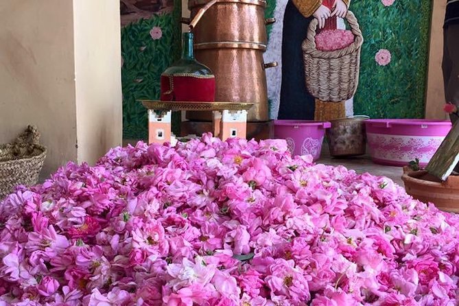 Morocco 11 Days Tour From Casablanca via Sahara Desert - Itinerary Overview