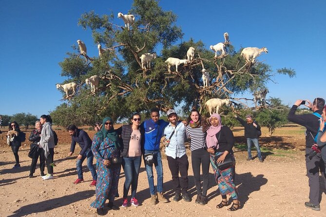 Morocco 11 Days Tour From Casablanca via Sahara Desert - Sahara Desert Camel Ride