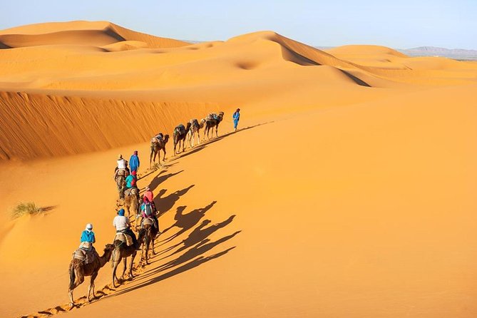Morocco: 3 Days Desert Tour From Marrakech - Accessibility and Participation