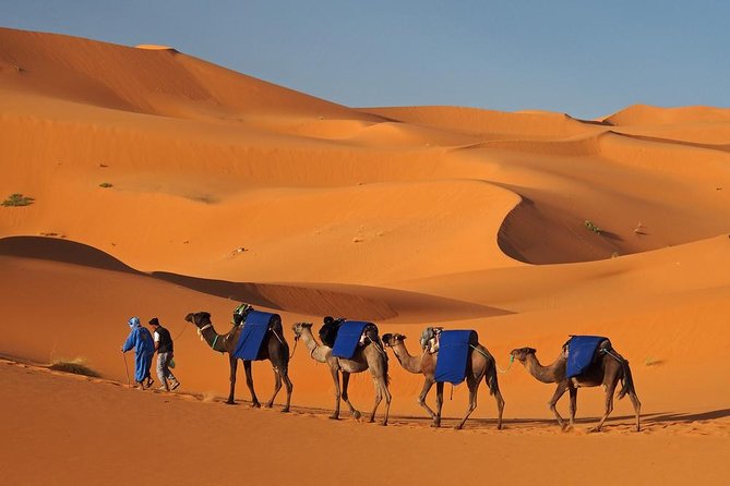 Morocco: 3 Days Desert Tour From Marrakech - Itinerary Day 3