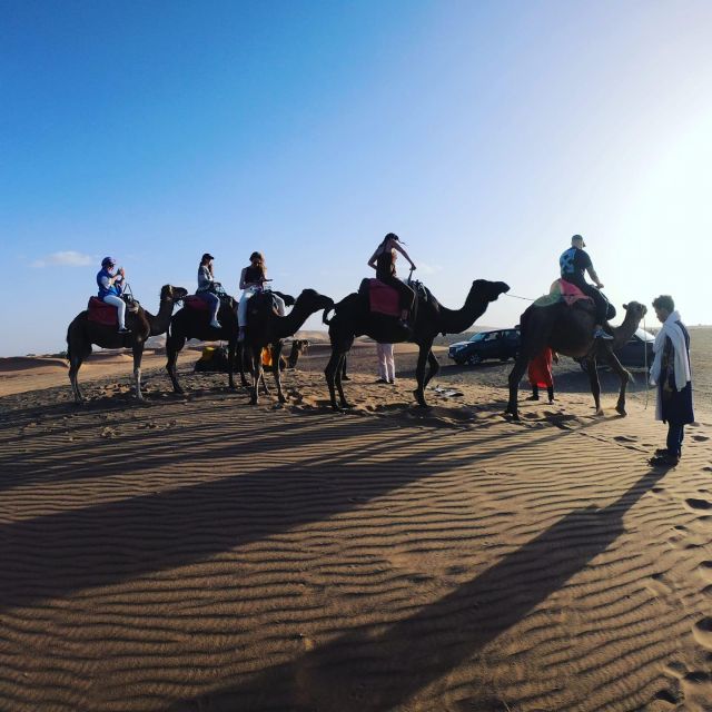 Morocco Camel Trekking, Morocco Sahara Desert From Marrakech - Inclusions