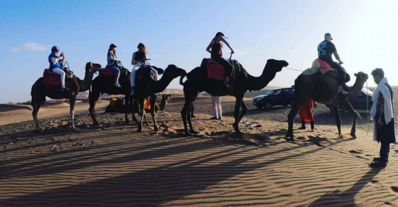 Morocco Camel Trekking, Morocco Sahara Desert From Marrakech - Accommodation and Meals