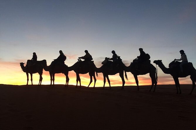 Morocco Camel Treks Experiences 2 Nghits in Erg Chabbi Desert - Accessibility and Participation