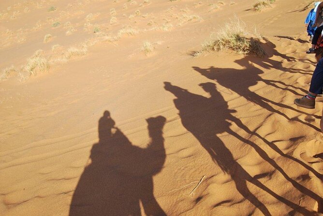 Morocco Desert Tour 8 Days Desert Tour From Tangier to Marrakech - Pricing and Reviews