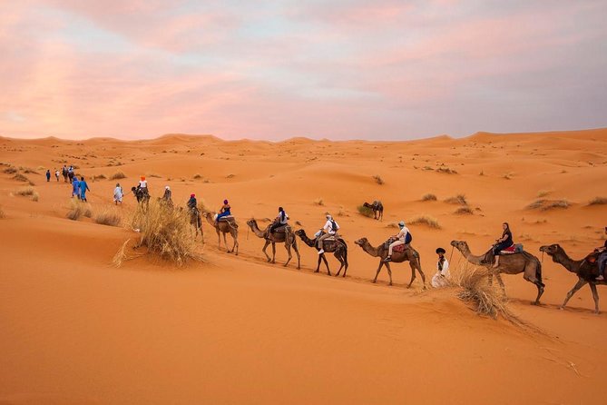 Morocco Desert Tours From Marrakech 3 Days - Pricing and Cancellation