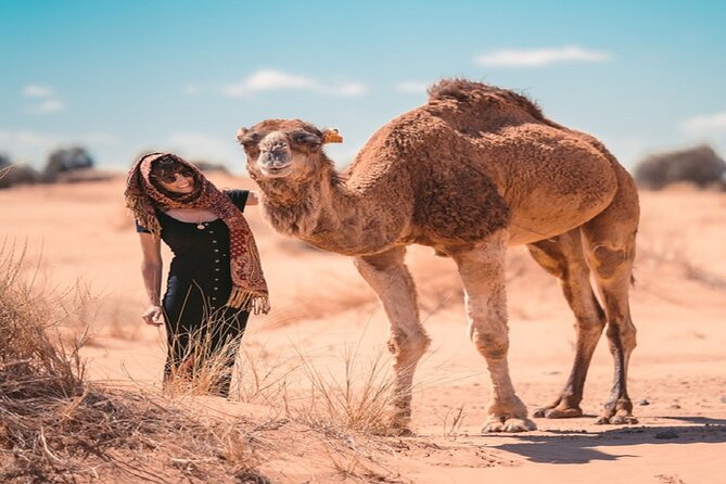 Morocco Desert Trek Dromedary Mhamid Dunes - Trip Highlights
