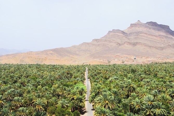 Morocco Encompassed - Inclusions of the Tour