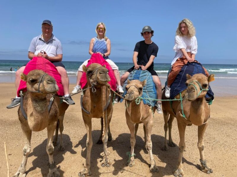 Morocco Express: Private Tour to Tangier From Seville - Tarifa to Tangier